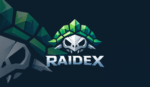 Banner del servidor Hytale Raidex
